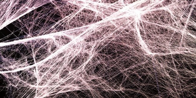 fascia
