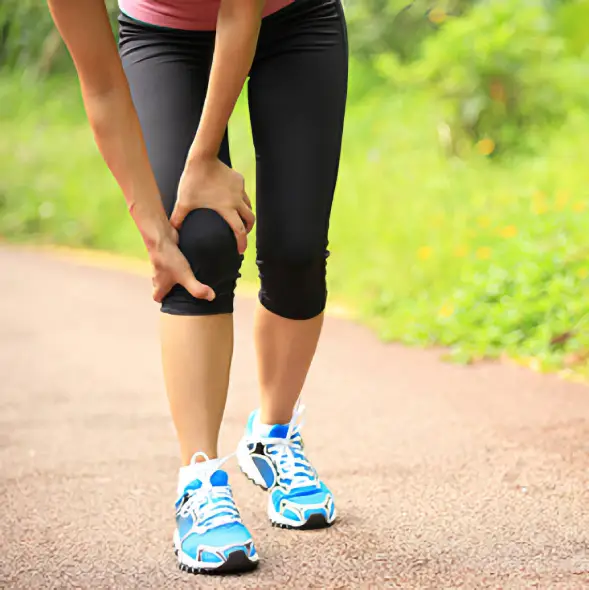 full function rehab. wellness stakes2 (1)